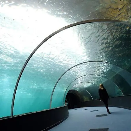 La Perle Marine :boulogne Sur 펜션 볼로뉴쉬르메르