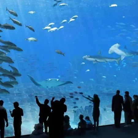 La Perle Marine :boulogne Sur * Boulogne-sur-Mer