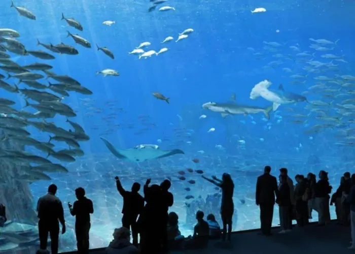 La Perle Marine :boulogne Sur * Boulogne-sur-Mer
